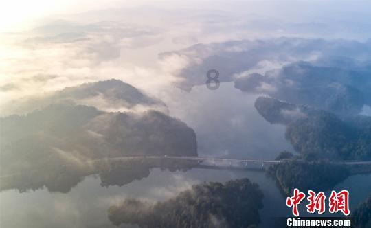 88影视